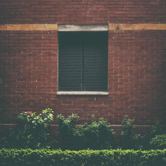 Window