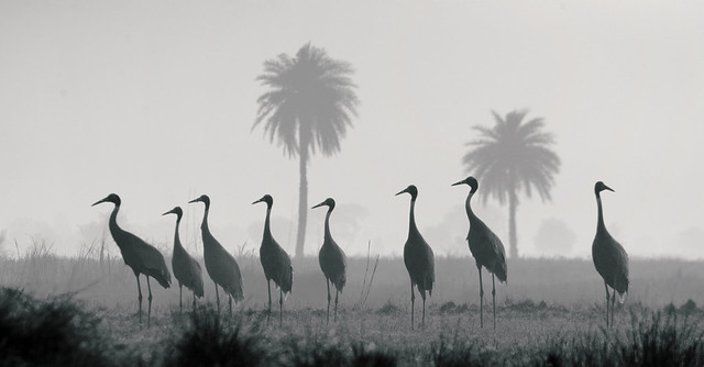 One who thinks differently, always stands out in the crowd