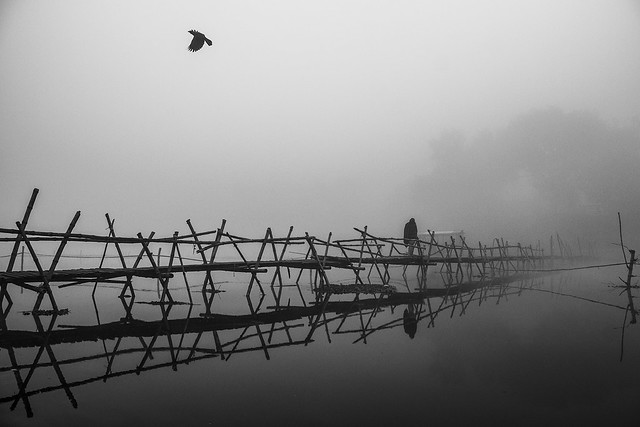 Misty Morning