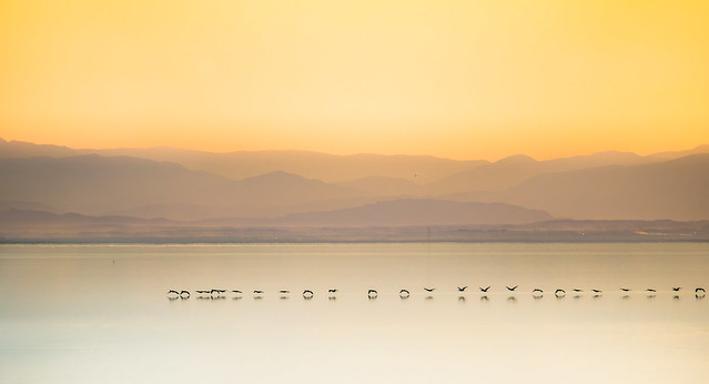 Tranquillity