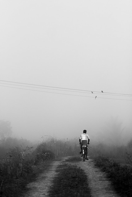 Riding in to the Path