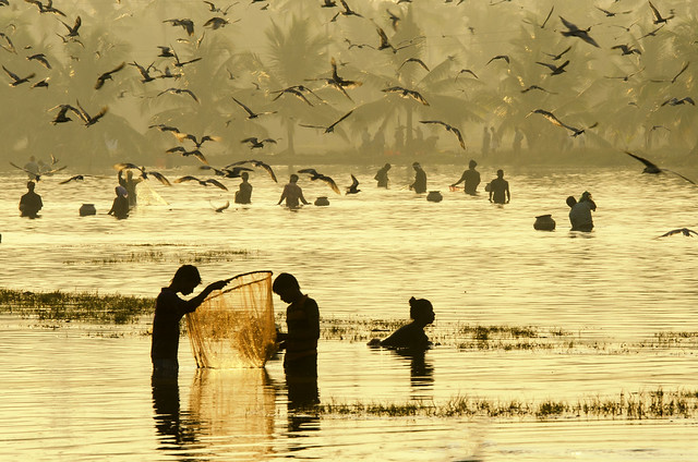 Fishing