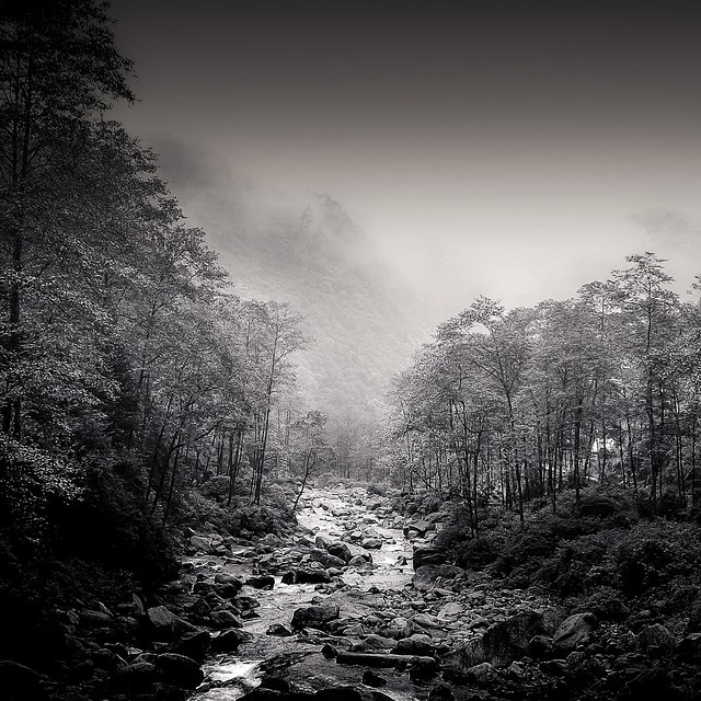 solitary