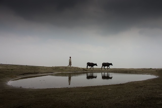 Bangladesh