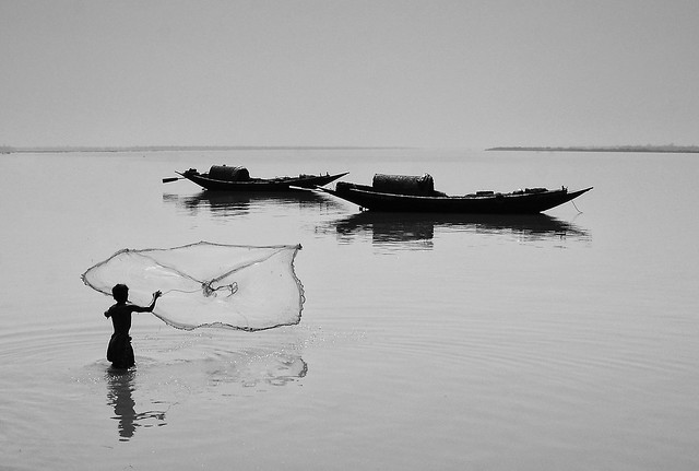 The Catch of Daily Life