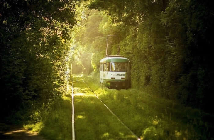 Summertime Sunlight - Photos That Look Straight Out of a Renaissance Painting