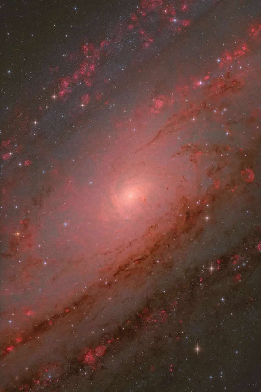 The Andromeda Core - ZWO Astronomy Photographer of the Year Awards 2025 Winners