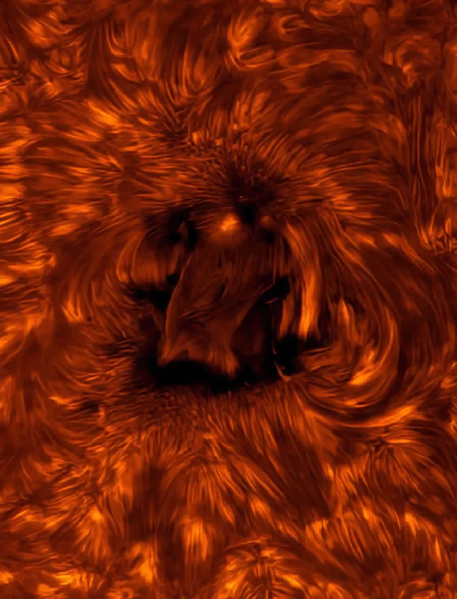 Active Region of the Sun Chromosphere - ZWO Astronomy Photographer of the Year Awards 2025 Winners