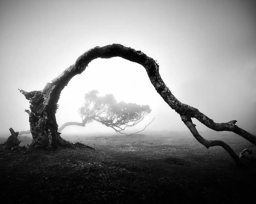 Tips for Minimalist Landscape Photography to Reveal Beauty in Simplicity