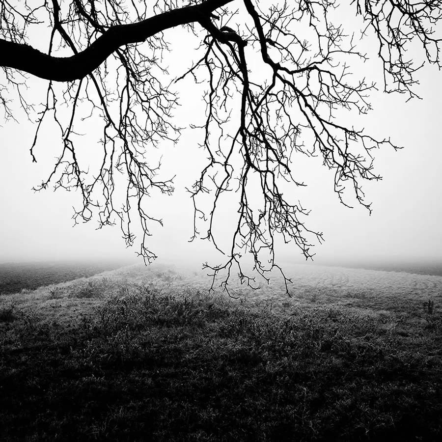 Tips for Minimalist Landscape Photography to Reveal Beauty in Simplicity