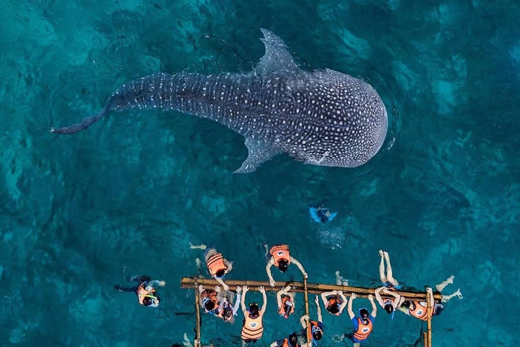 Drone Aerial Photography by Dimitar Karanikolov