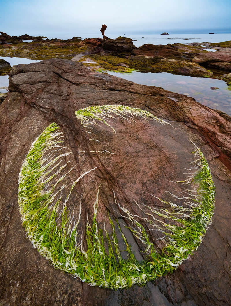 Ephemeral Land Art Masterpieces by Jon Foreman