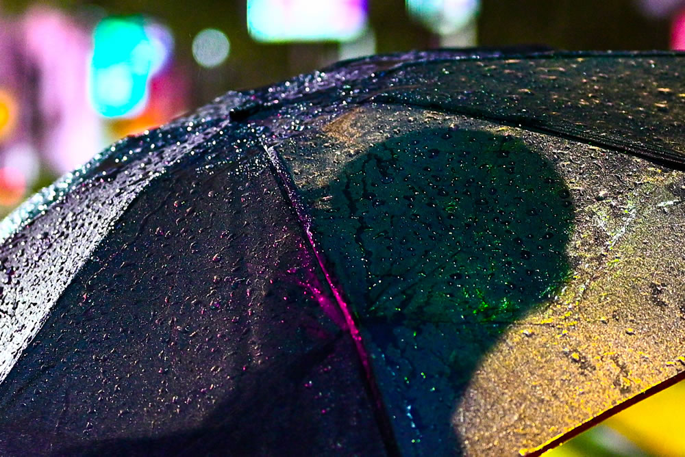 An Evening In Rain By Jayeeta Ghosh