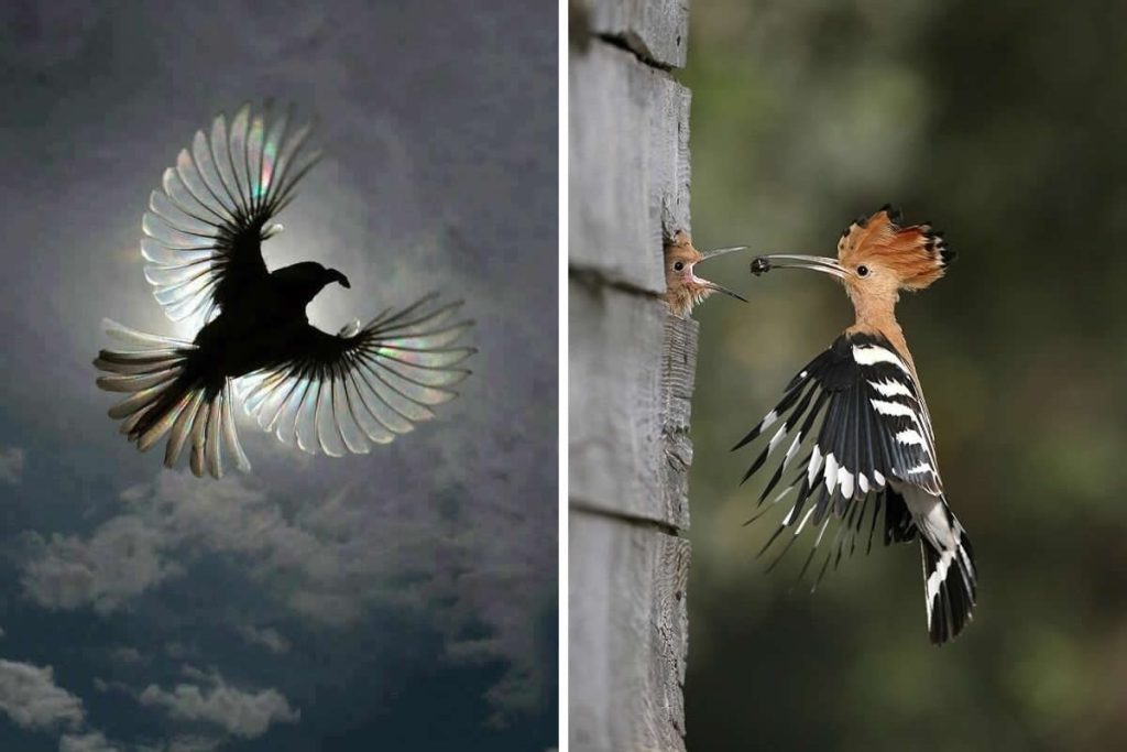 Exact Right Moment to Prove Timing Is Everything