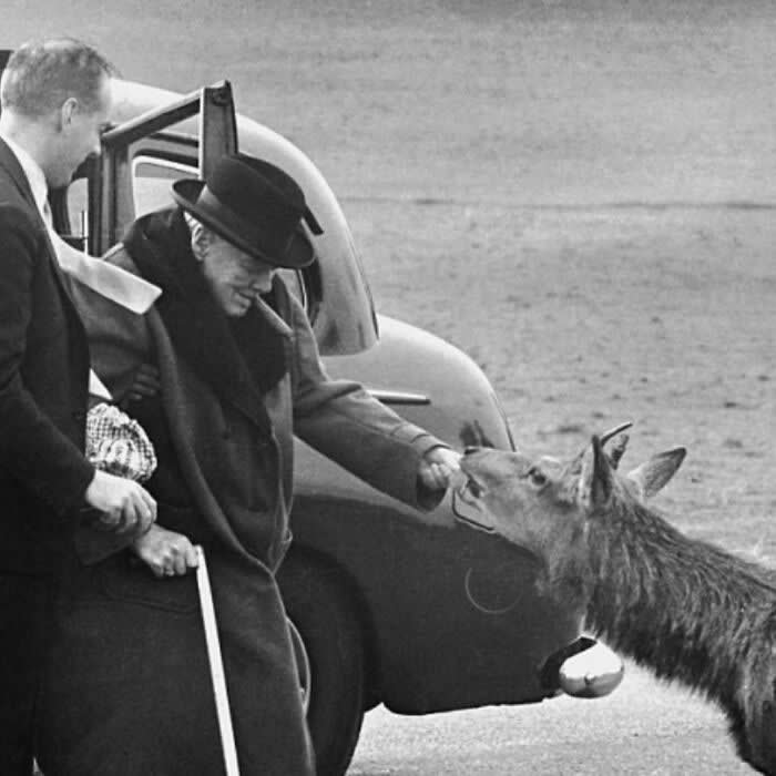 Fascinating Photos From History