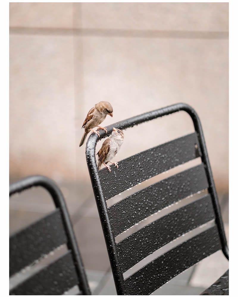 Minimalist Photos That Capture the Pure Essence of Simplicity