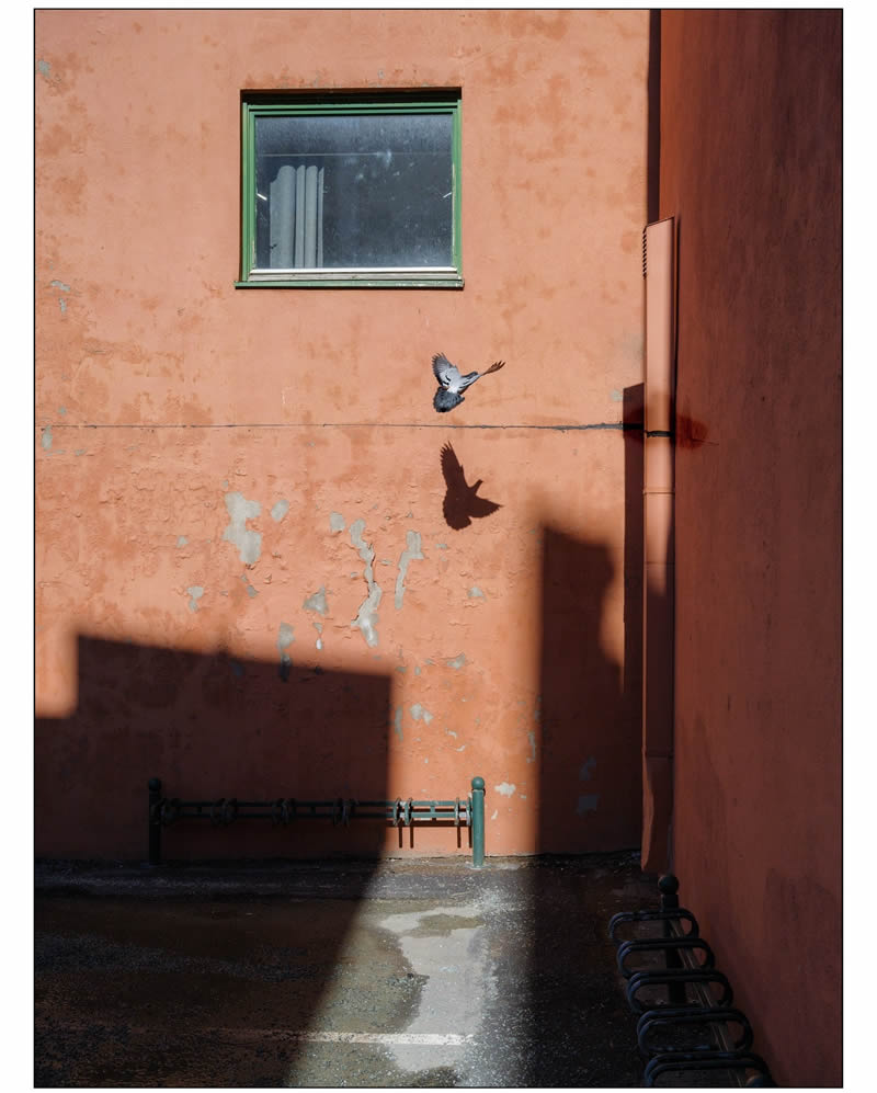 Minimalist Photos That Capture the Pure Essence of Simplicity