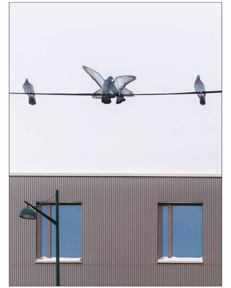 Minimalist Photos That Capture the Pure Essence of Simplicity