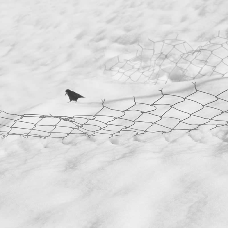 Minimalist Black-and-White Photography by Mostafa Nodeh