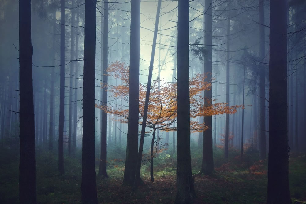 A Landscape Photographer From Germany