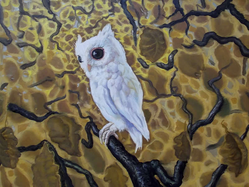 Magical Artwork Paintings by Sasa Montiljo
