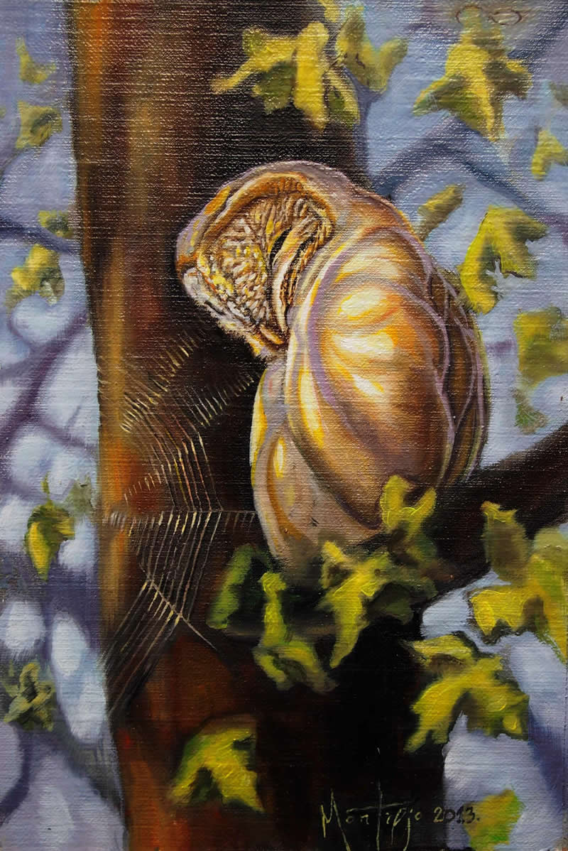 Magical Artwork Paintings by Sasa Montiljo