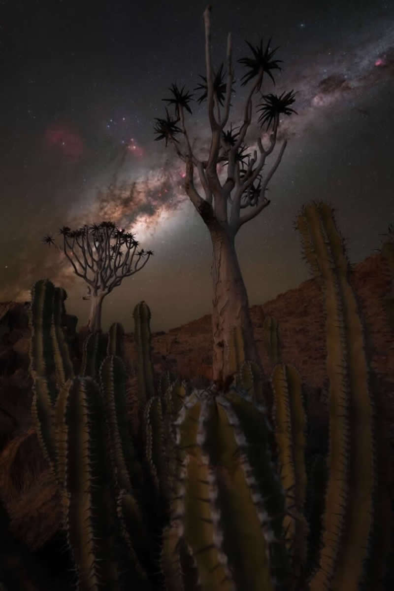 2025 Milky Way Photographer of the Year Winners