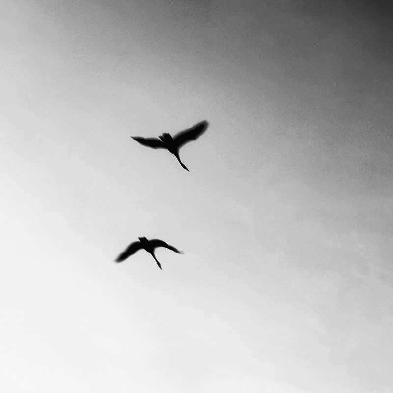 Poetic Minimalist Fine Art Photographs by Kalle Saarikko