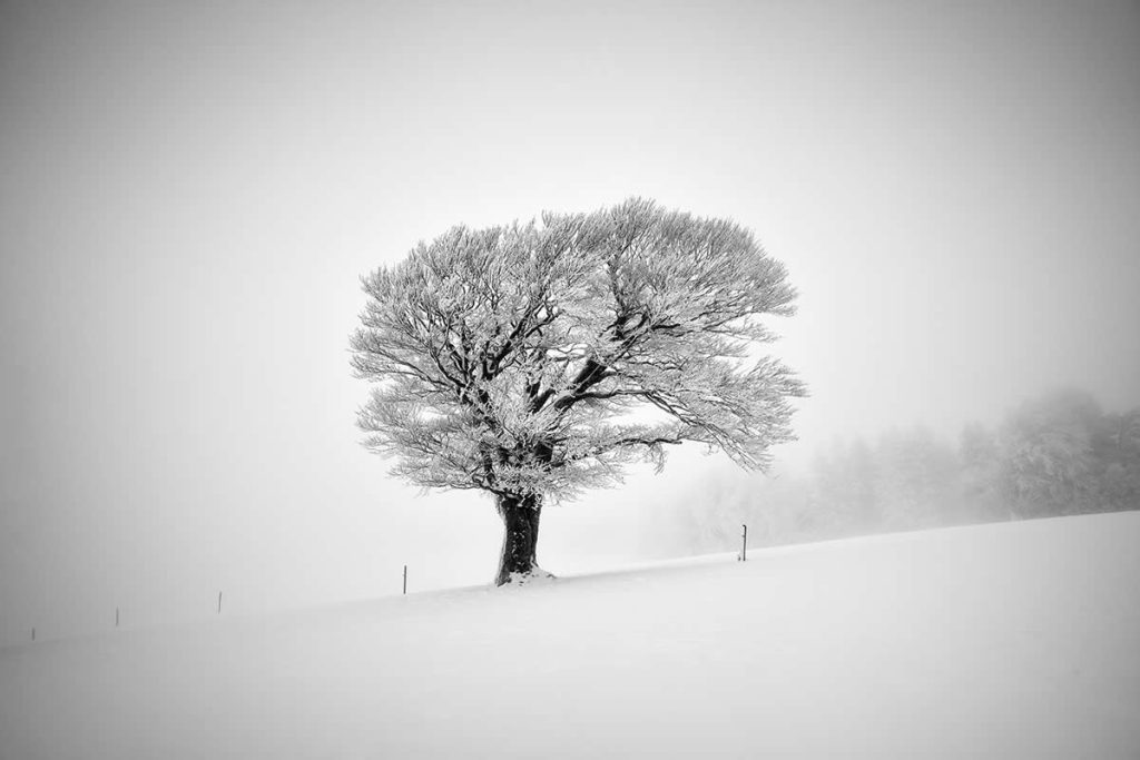 Tips for Minimalist Landscape Photography to Reveal Beauty in Simplicity