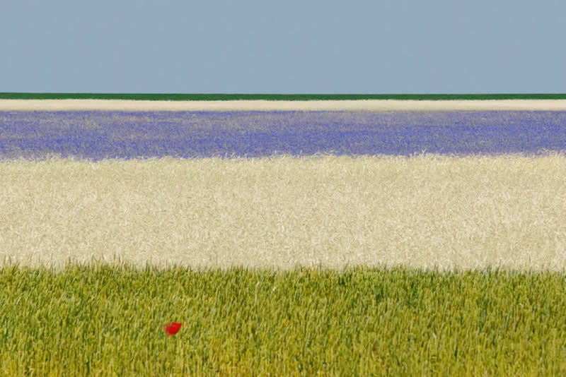 2025 Minimalist Photography Awards Winners