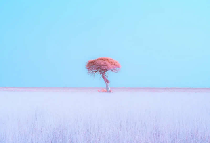 2025 Minimalist Photography Awards Winners
