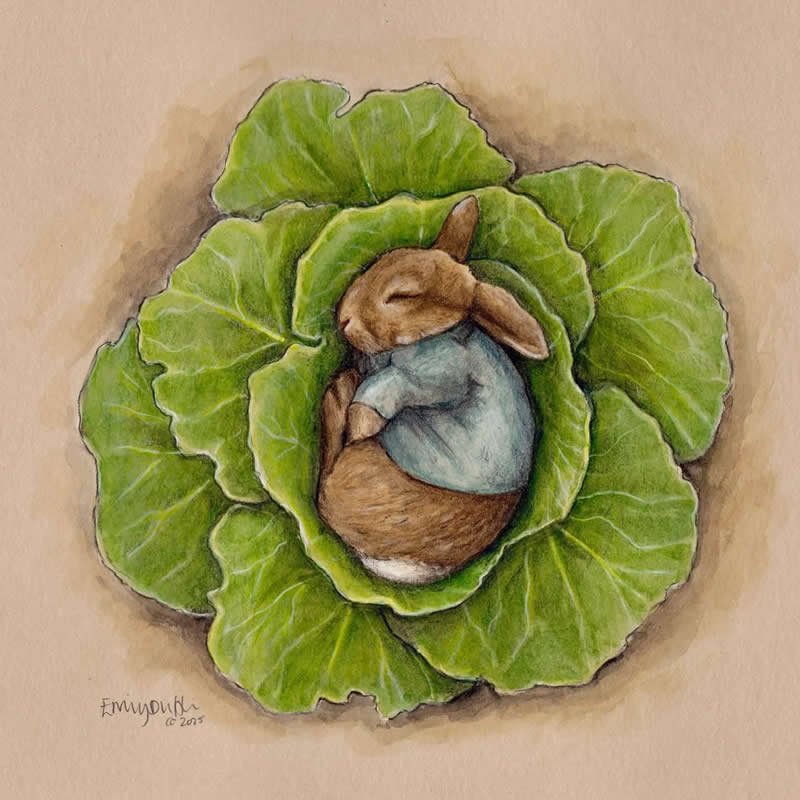 Stunning Illustrations by Emily Duffin Celebrating Nature