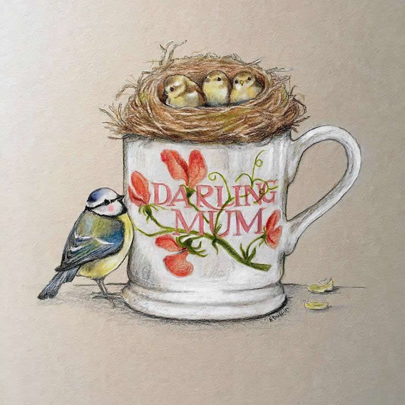 Stunning Illustrations by Emily Duffin Celebrating Nature