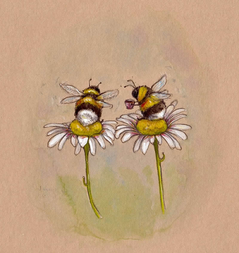 Stunning Illustrations by Emily Duffin Celebrating Nature