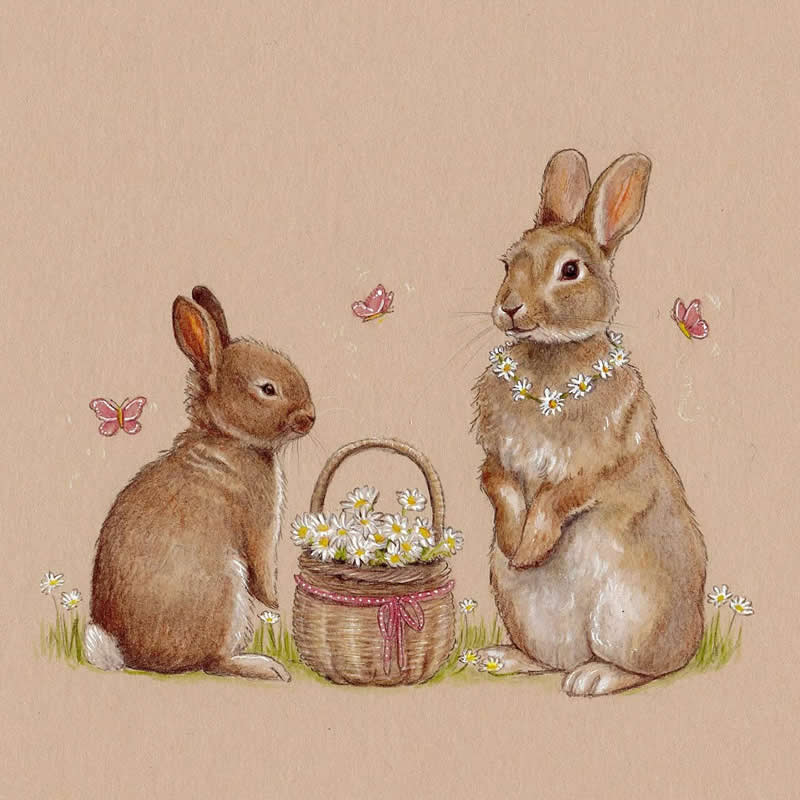 Stunning Illustrations by Emily Duffin Celebrating Nature