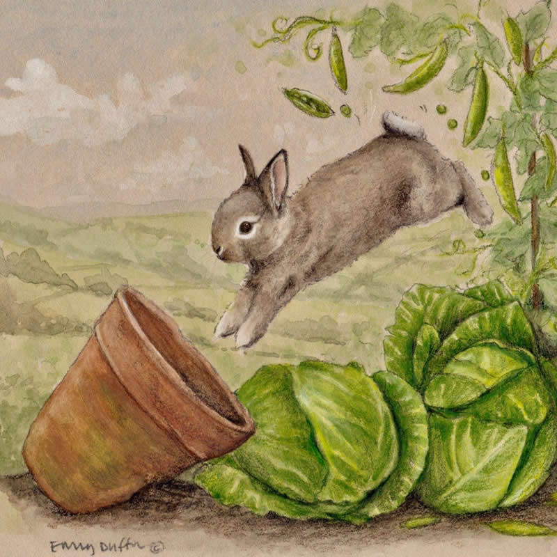 Stunning Illustrations by Emily Duffin Celebrating Nature