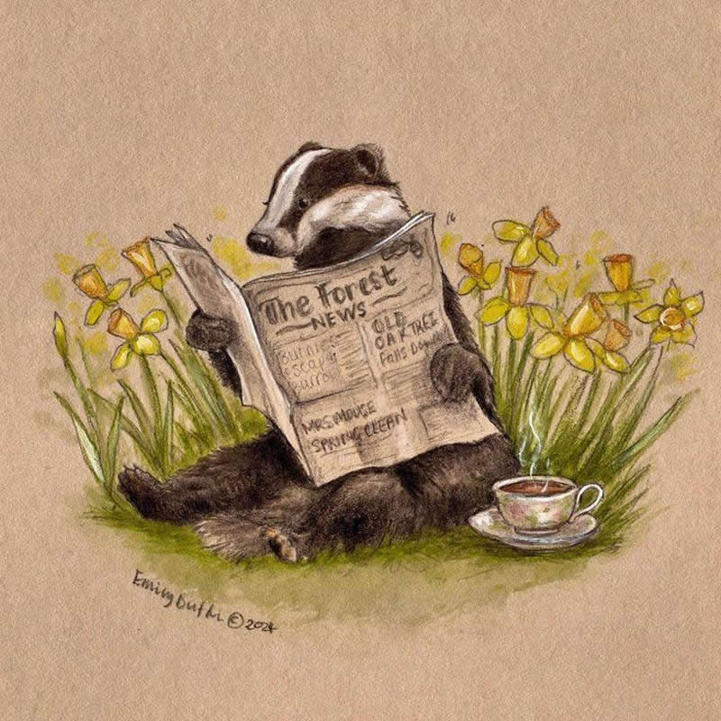 Stunning Illustrations by Emily Duffin Celebrating Nature