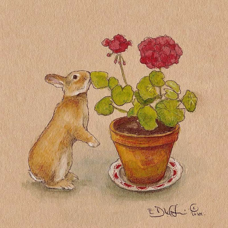 Stunning Illustrations by Emily Duffin Celebrating Nature