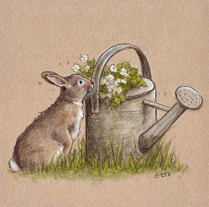 Stunning Illustrations by Emily Duffin Celebrating Nature