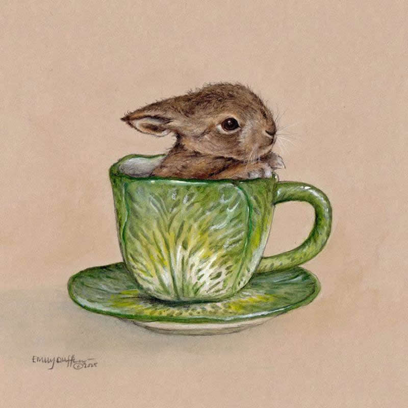 Stunning Illustrations by Emily Duffin Celebrating Nature