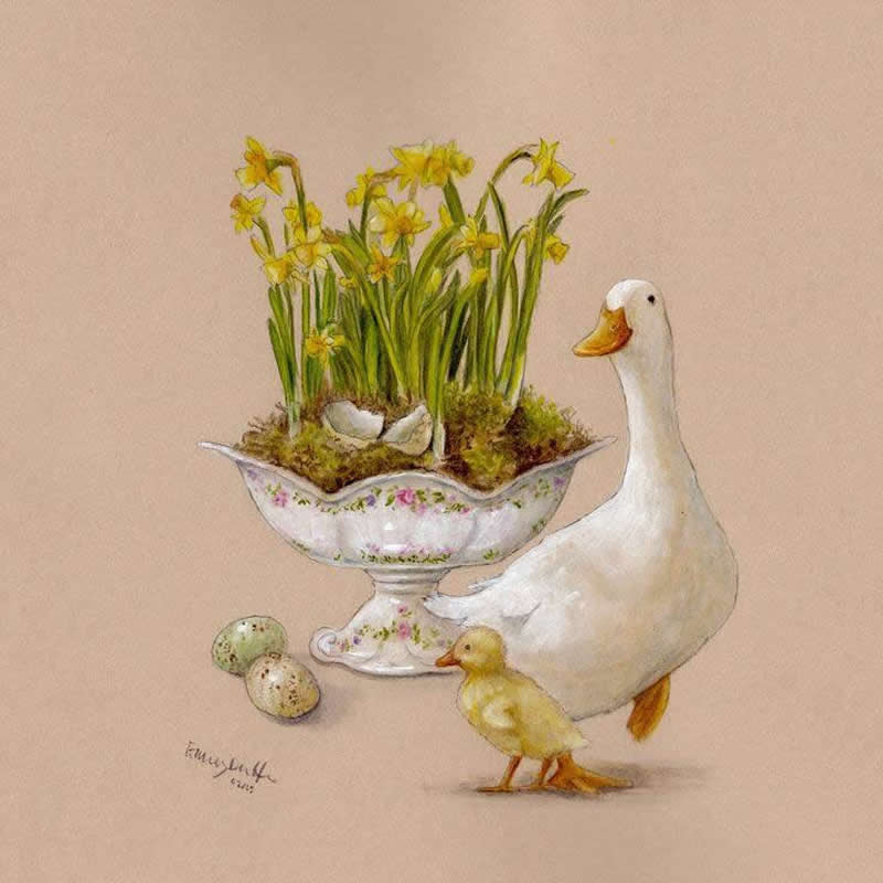 Stunning Illustrations by Emily Duffin Celebrating Nature