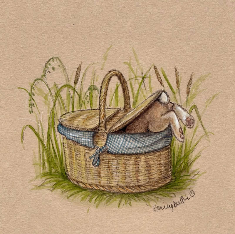 Stunning Illustrations by Emily Duffin Celebrating Nature