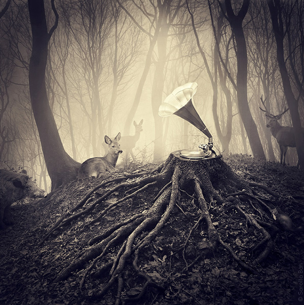 Creative Photo Manipulations by Sarolta Bán