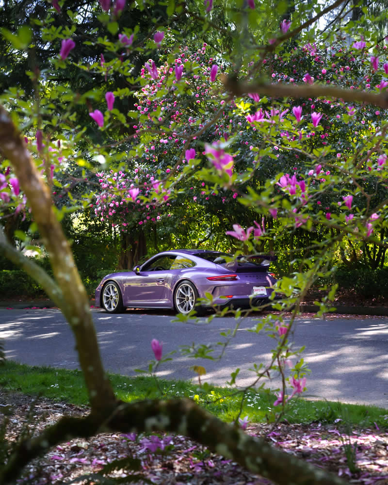 Spring Shades and Porsches