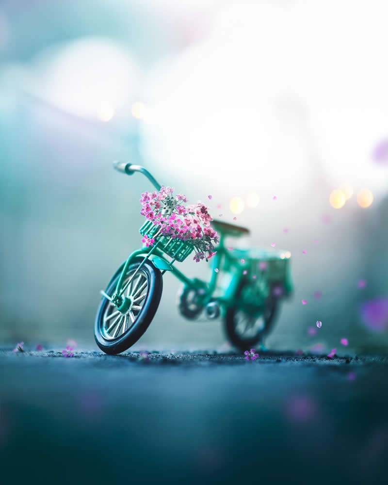 Still Life Photography by Ashraful Arefin