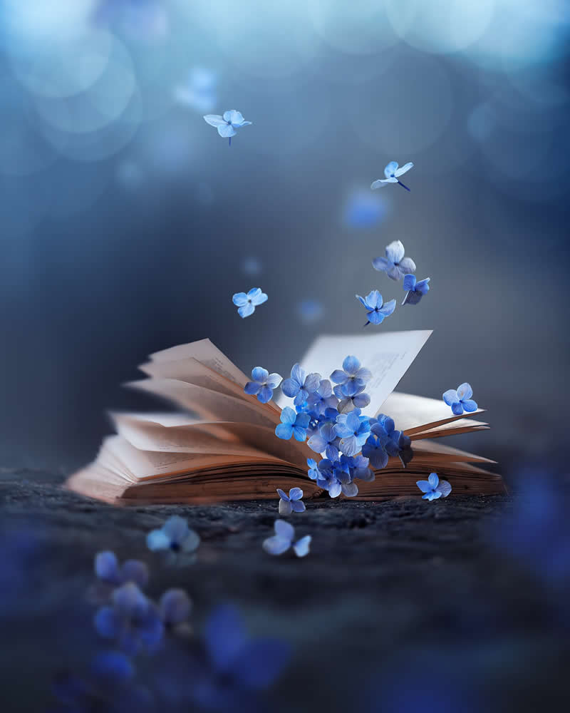 Still Life Photography by Ashraful Arefin