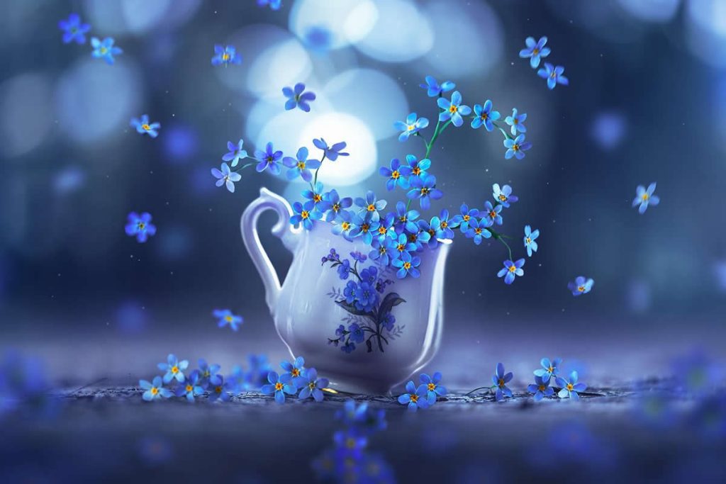 Still Life Photography by Ashraful Arefin