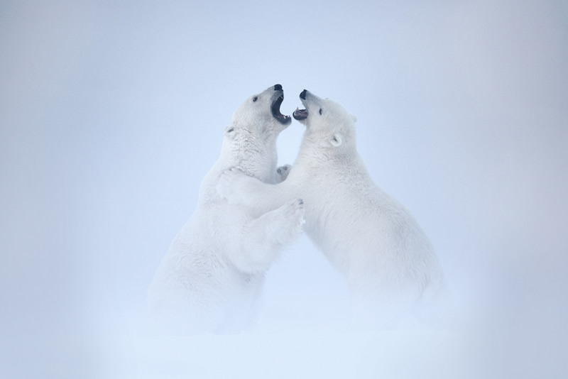 Matthew Studebaker Photography