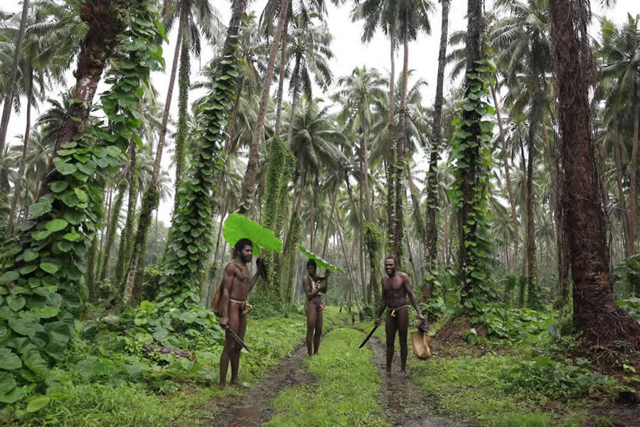 Travel Winning Photos from the Artist Gallery Awards 2025