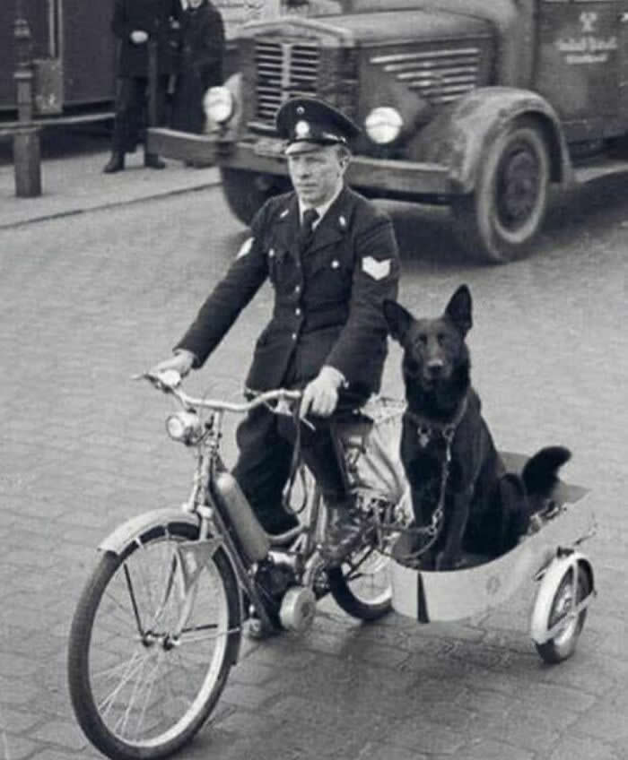 Fascinating Vintage Photos That Bring History to Life